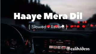 Haaye Mera Dil SlowedReverb  Alfaaz ft Honey Singh  Lofi music lofimusic trending music [upl. by Akkinahs282]