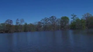 canoeing the flooded Ouachita River [upl. by Aliac139]