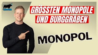 DIESE 4 Aktien haben Monopolstellungen mit bis zu 71 Marktanteil  Investflow Aktienanalyse [upl. by Yadroc160]