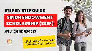 Apply for Sindh Educational Endowment Scholarship 2024 in 5 Minutes [upl. by Griselda]