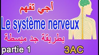 Le système nerveux  la sensibilité consciente  SVT 3AC  partie 1 [upl. by Ragen]