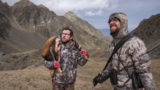 CHASSE À LISARD DANS LES PYRÉNÉES [upl. by Oetomit429]