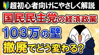 【超初心者向け】国民民主党の経済政策「103万円の壁」撤廃でどう変わる？基礎知識から丁寧に解説 [upl. by Chem]