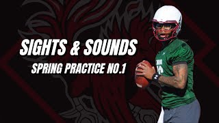 Sights amp Sounds Spring football practice No1 for South Carolina  2024 [upl. by Dorthy]