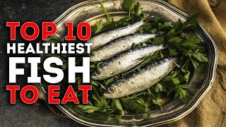 Top 10 Healthiest Fish To Eat [upl. by Aynwat899]