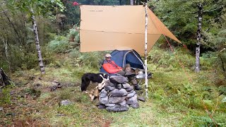 Camping in Rain with my Dog in Ultralight Tent [upl. by Ezar]