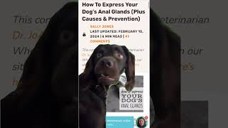 How to express your dog’s anal glands Visit caninejournalcom to get the scoop [upl. by Ahsiled]