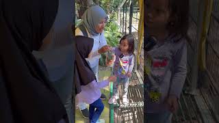 AFRIN DAN HAFIZAH KASIH MAKAN BINATANG ANTELOPE DAN RUSA  HEWAN DI KEBUN BINATANG shorts [upl. by Leontine]