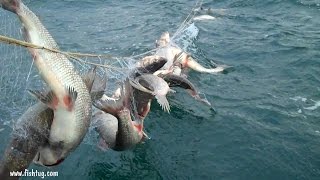 Whitefish fishing Lake Michigan Fish Tug In Door CountyWi httpwwwfishtugcom [upl. by Anivel]