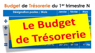 Business Plan Financier  Le Budget de Trésorerie en moins de 10 mn [upl. by Araes]