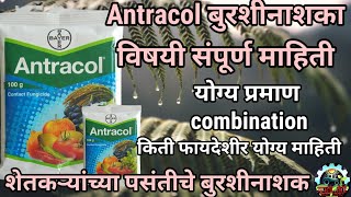 Antracol fungicide Antracol Bayer fungicide Antracol in marathi Antracol बुरशीनाशक माहिती [upl. by Uund]