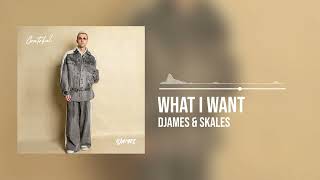 DJames and Skales  What I Want Official Audio [upl. by Anier364]