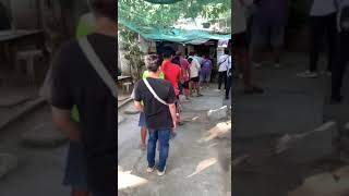 Ilocos Norte famous Sinanglao haba ng pila [upl. by Canice762]