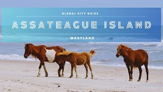 Sandy Toes and Salty Air Assateague Islands Coastal Delights 2024 travelguide2024 [upl. by Anailuig]