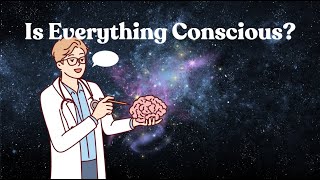 Consciousness and the Universe [upl. by Mahan]