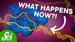 The First CRISPR Gene Therapy Is Here [upl. by Edita]