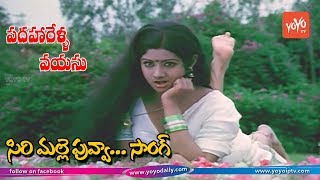 Sirimalle Puvva Video Song HD  Padaharella Vayasu Movie Songs  Sridevi  YOYO TV Music [upl. by Cown]