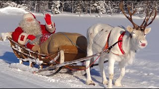 Gli animali di Babbo Natale Lapponia le migliori storie 🎅🦌🐕 renne e cani di Santa Claus messaggio [upl. by Arahset252]