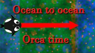 Mopeio new update animal  Ocean to ocean with the orca [upl. by Ailene585]