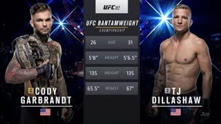 Cody garbrandt vs TJ Dillashaw full fight ufc 217 [upl. by Naira]