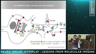 JRS  Immunopsychiatrie  intervention de Laurent Groc [upl. by Ary]