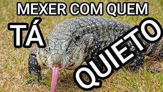 MEXER COM QUEM TÁ QUIETO [upl. by Heman]