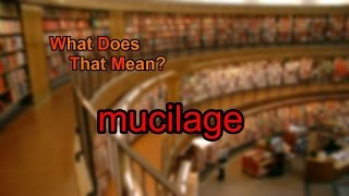 What does mucilage mean [upl. by Eatton]