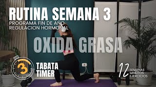 REGULA TUS HORMONAS RUTINA DE OXIDACIÓN DE GRASA ENTRENAMIENTO EN CASA O GYM 12 MINUTOS SEMANA 3 [upl. by Etteuqal]