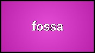 Fossa Meaning [upl. by Tini]