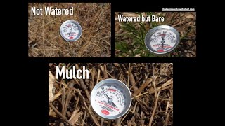 The Power of Mulch with Matt Powers The Advanced Permaculture Student Online [upl. by Levitus580]