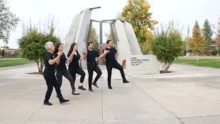 Tamzara Armenian Folk Dance Video Tutorial with the Arax Dancers [upl. by Biles]