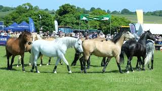 Herts County Show 2023 Highlights including Atkinson Sports Horses show jumping amp Wye Valley Axemen [upl. by Gnilyam335]