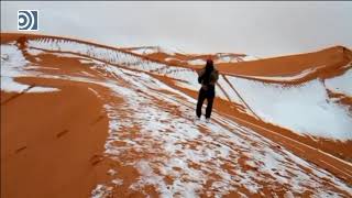 El desierto del Sahara cubierto de blanco por una intensa nevada [upl. by Nimajneb]