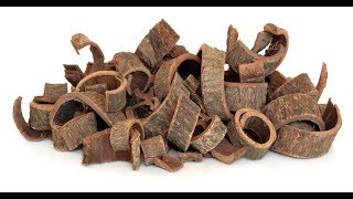 11 Amazing Health Benefits of Magnolia Bark [upl. by Suzanna]