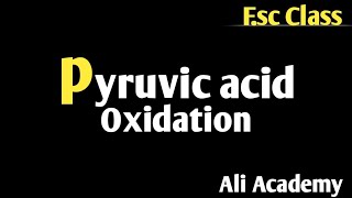 Pyruvate oxidation  Pyruvic acid oxidation lecture class 11th in urdu hindi [upl. by Waxler63]