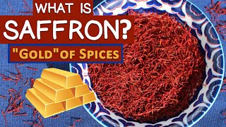 What are Saffron Health Benefits Why Its Called the quotGoldquot of Spices [upl. by Sharla]