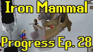 Oldschool Runescape  2007 Iron Man Progress Ep 28  Iron Mammal [upl. by Elden]