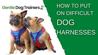 How To Put On A Dog Harness  STEP BY STEP [upl. by Happy]