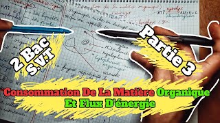 🔥🔥 Consommation De La Matière Organique Et Flux dénergie 🔻 Partie 3 🔻 2 Bac BIOF SVT 🔻1èr chapitre🔻 [upl. by Chastain557]