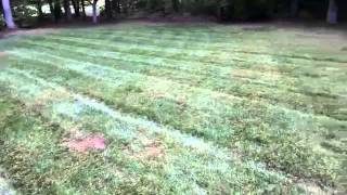 Lawn Care Rookie Quick Tip 1 Clumping fix [upl. by Laekim]