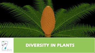 DIVERSITY IN PLANTS [upl. by Nameloc]