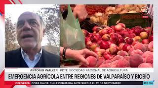 quotNo hay razón para subir preciosquot de frutas y verduras SNA tras inundaciones [upl. by Marie-Ann266]