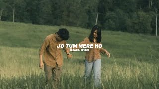 Jo Tum Mere Ho Slowed  Reverb Anuv Jain  Ameen Fahim [upl. by Albertine]