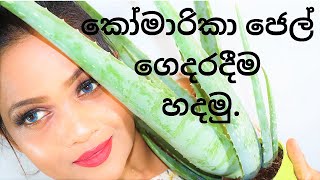 How To Make Aloe Vera Gel At Home in Sinhala  Homemade Fresh Aloe Vera Gel by Pavithra Peiris [upl. by Mauro381]