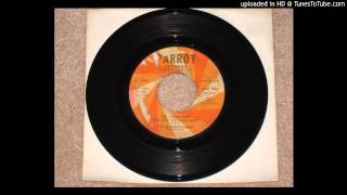 THE ANDREW LOOG OLDHAM ORCHESTRA quotThe Theme From THE DICK VAN DYKE SHOWquot 1965 Parrot 45 [upl. by Kancler]