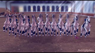 Clubtreffen ♥ Riding Riders  SSO  SERVER 12 🔴LIVE 384 [upl. by Langan758]