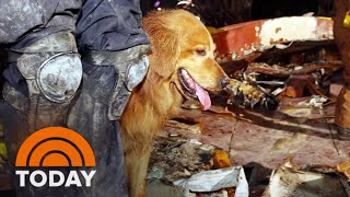 Remembering An Unsung Rescue Dog Of 911 [upl. by Oicam810]