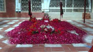 tribute to bawa syed sada hussain [upl. by Saihtam46]