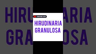 Hirudinaria granulosa [upl. by Entwistle866]