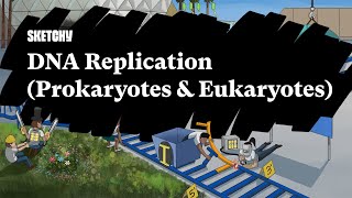 DNA Replication Prokaryotes amp Eukaryotes Part 1  Sketchy Medical  USMLE Step 1 [upl. by Joh]